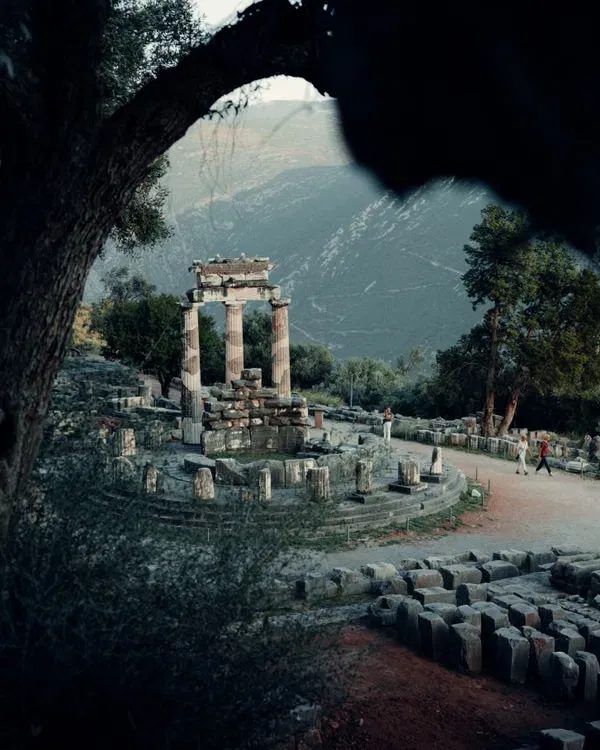 La tholos du sanctuaire d'Athéna Pronaia à Delphes, colonnes antiques au pied du mont Parnasse
